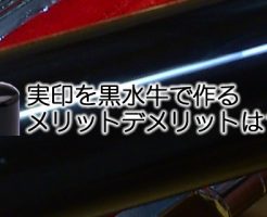 黒水牛を印鑑素材として実印作成するメリットデメリットは？
