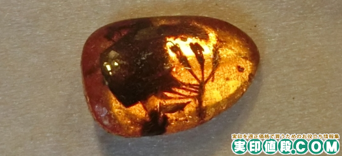 ジュラシックパークでも登場した虫入り琥珀