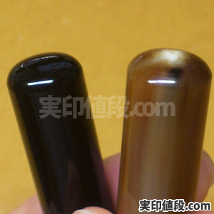 netherlands-buffalo003_300x300